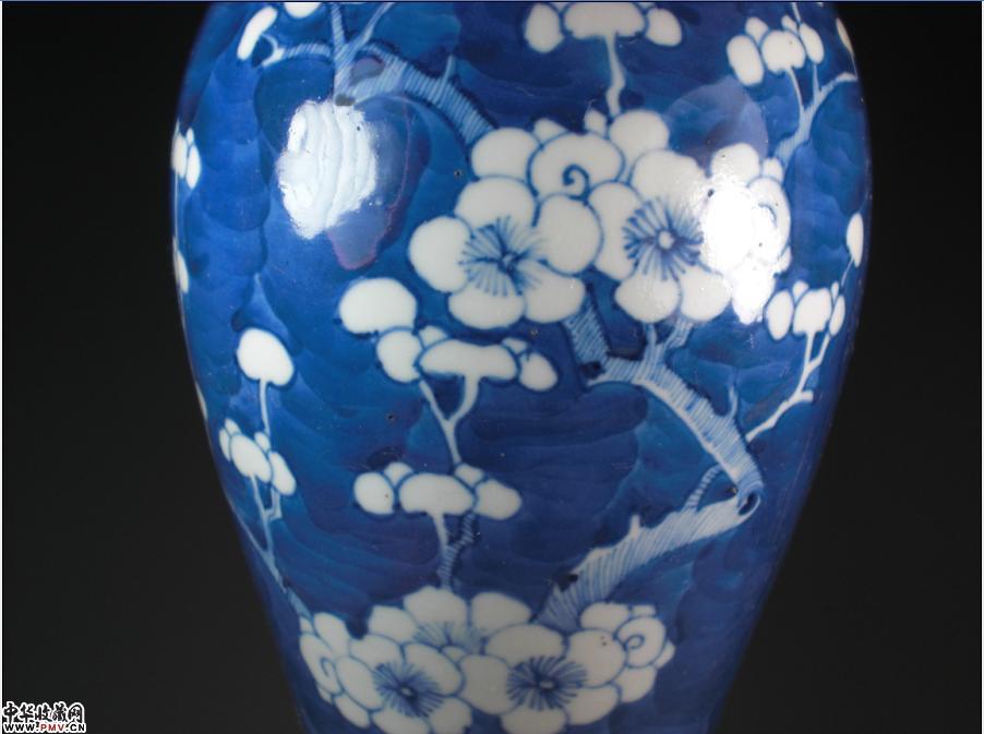 光绪仿康熙冰梅纹观音梅瓶藏家展厅收藏资讯|艺术家|书画家|书画名人