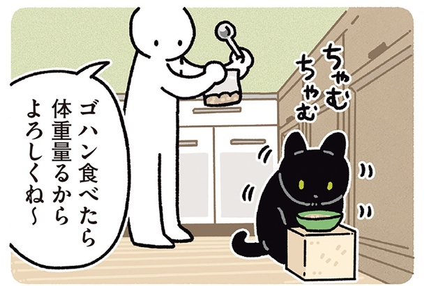 飼い主のお願いが通じてる！セルフ体重測定をする黒猫ろん（レタス
