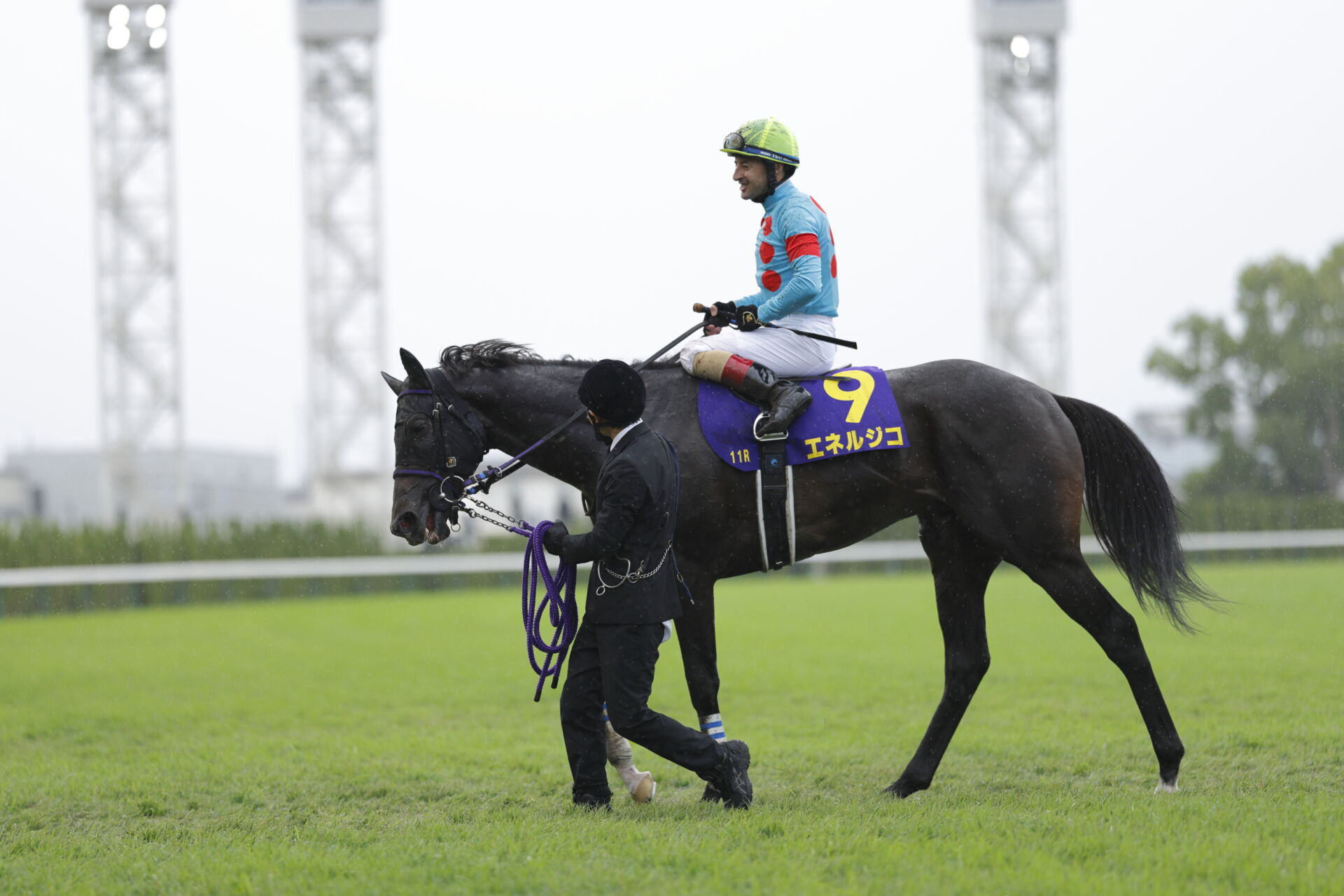 G1単勝馬券22枚 第13回ジャパンカップ 第56回菊花賞など G1単勝馬券22