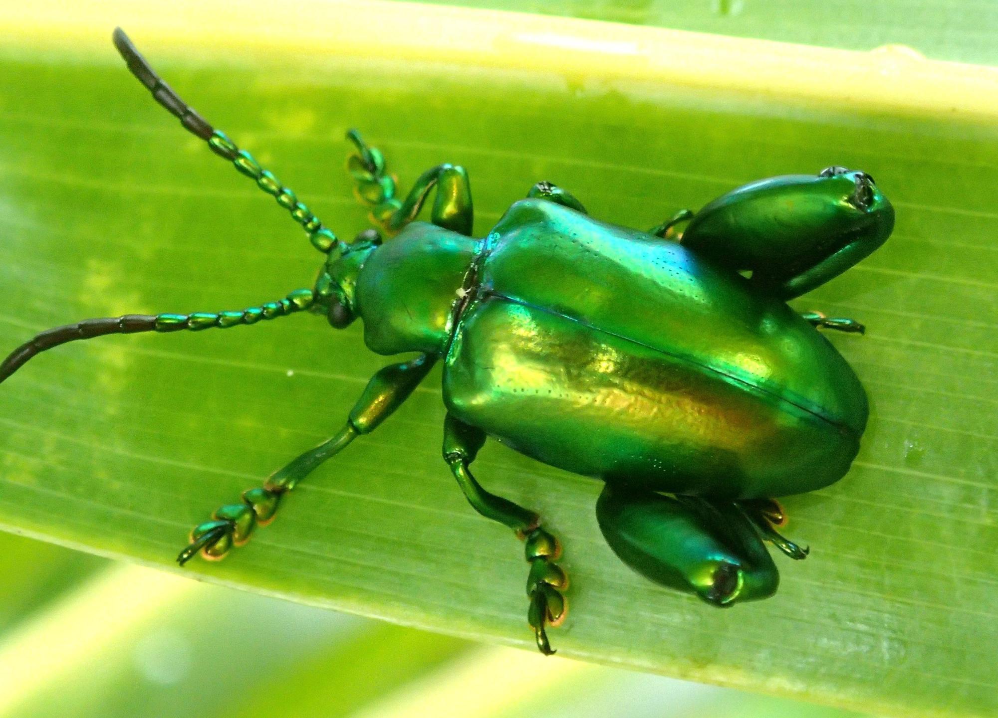太ももフェチにはたまらない魅力の「モモブト」仲間たち。代表はフェモ