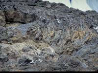 地球のからくり