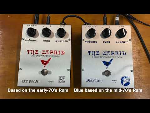 Wren and Cuff - Caprid Blue Violet Special Edition | ファズ ギター