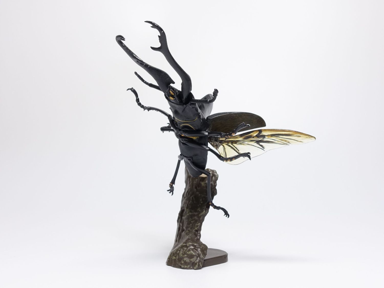 美術館級 特大作品 31cm ドームナンシー コロシント型 置物 昆虫文