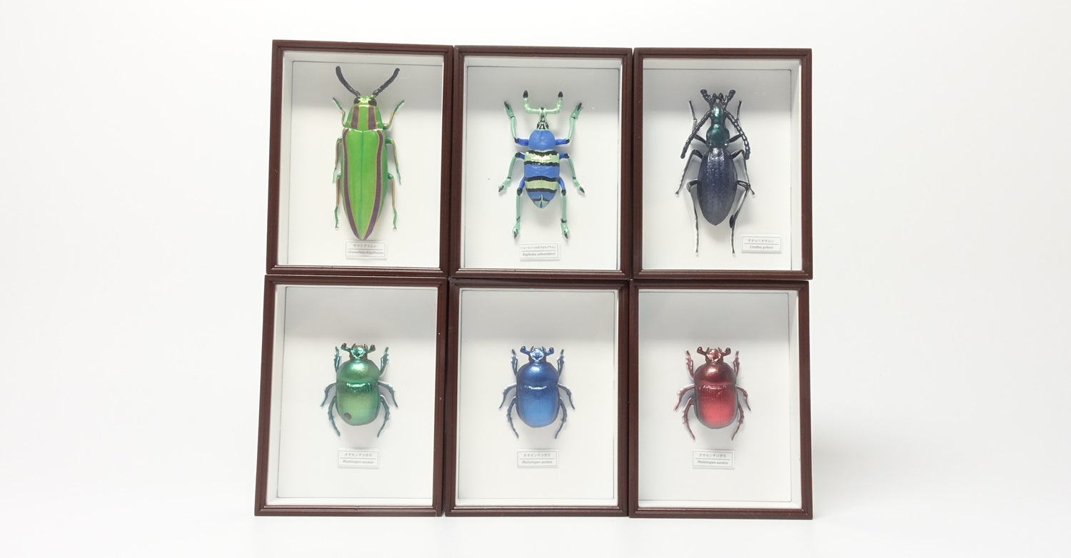 プラチナコガネ8頭ドイツ箱セット プラチナコガネ8頭ドイツ箱セット