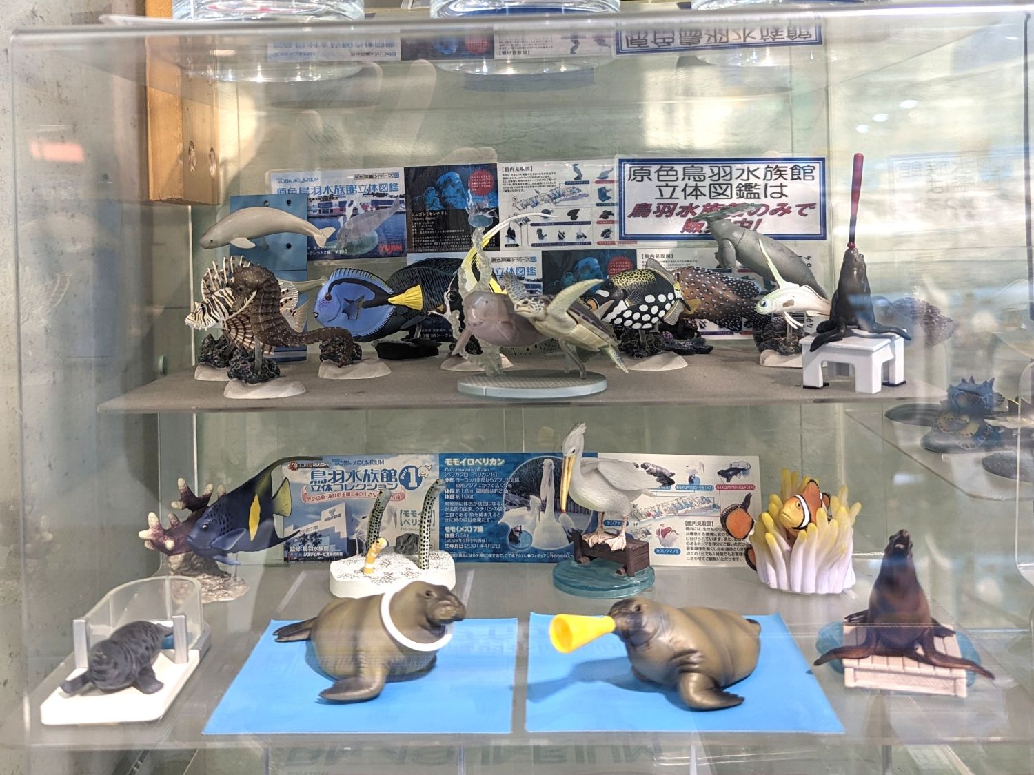 奇譚クラブ ネイチャーテクニカラー 鳥羽水族館立体コレクション3 その1