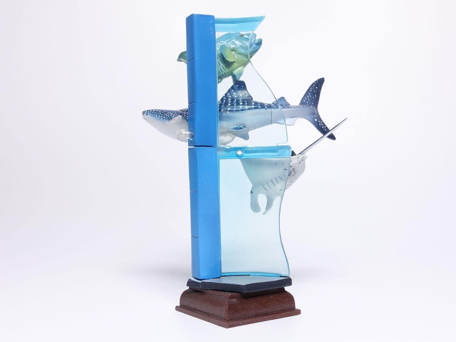 ネイチャーテクニカラー 海遊館 タカアシガニ 海遊館ミュージアム