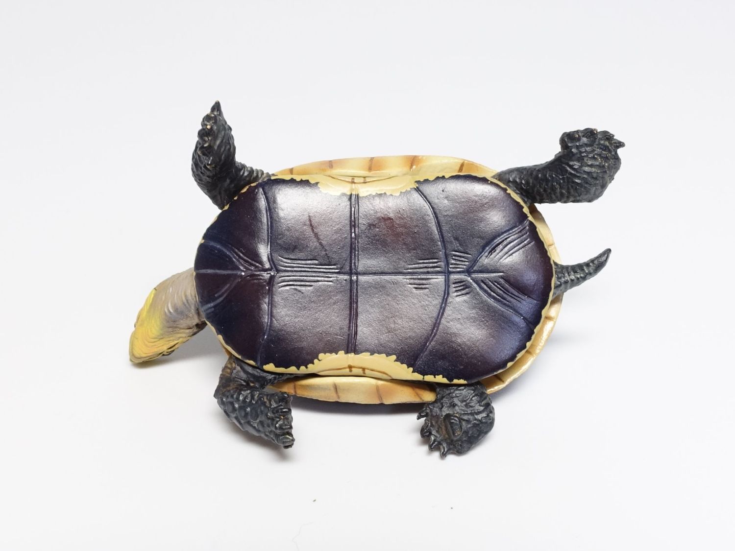 ネイチャーテクニカラー 日本のカメ