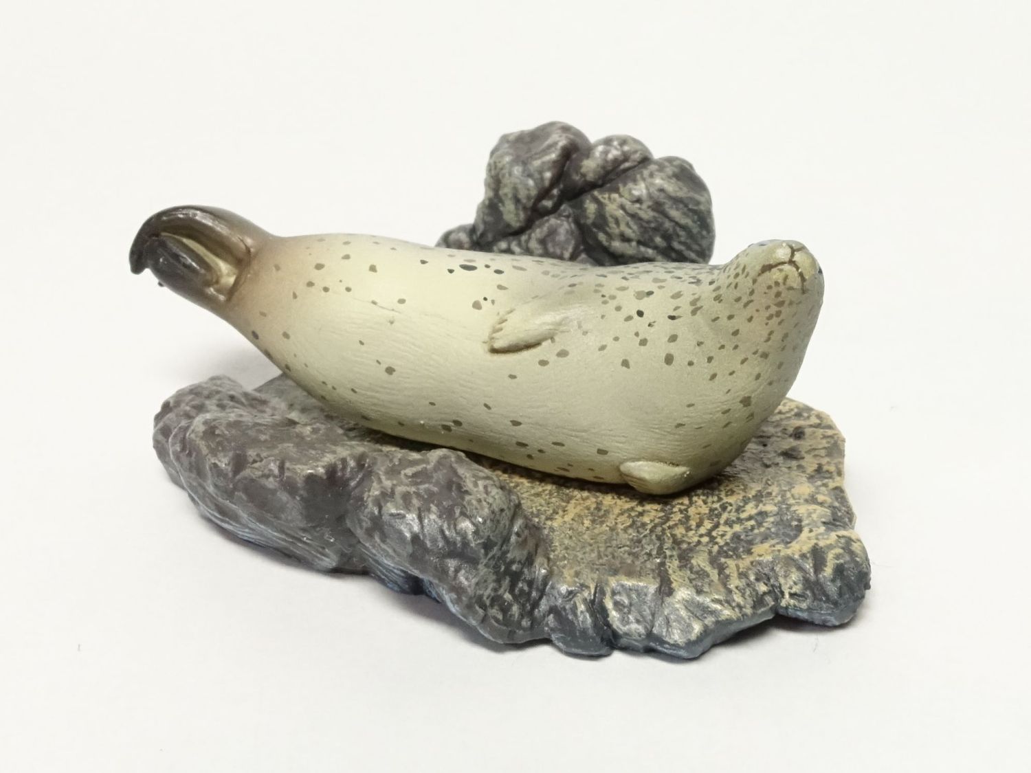 海遊館ミュージアム