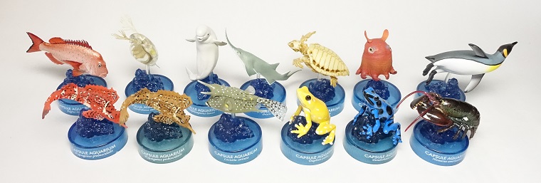 日本水族館立体生物図録4