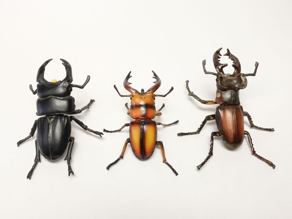 カプセルQミュージアム 日本クワガタムシ大全