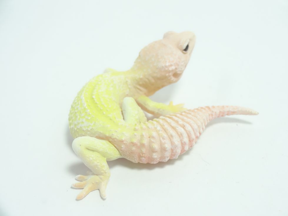 カプセルQ ヤモリ大全2