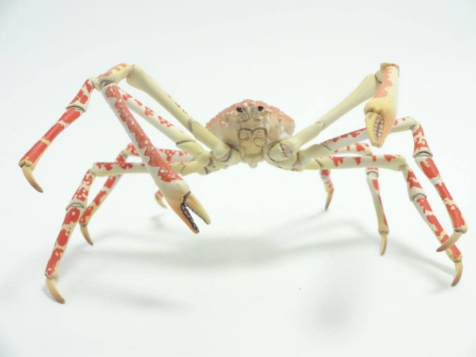 原色甲殻類エビ・カニ図鑑