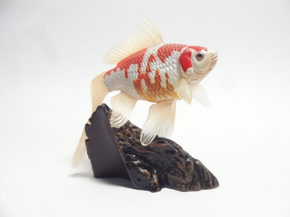 原色観賞魚図鑑改訂増補版