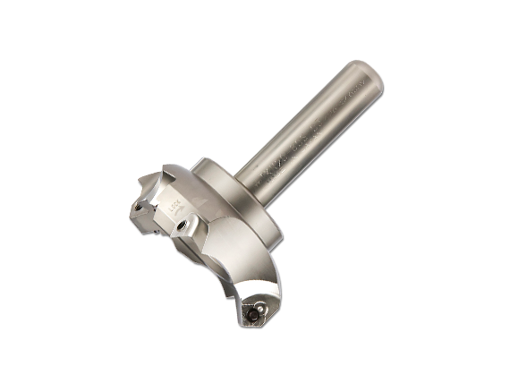 25%OFF] カット無し切手、赤道ギニア、美術シート cbj_s130_er 25%OFF