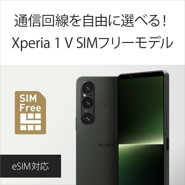 Sony Xperia 1 V XQ-DQ44 Silver 512GB 16GB RAM Dual SIM Unlocked