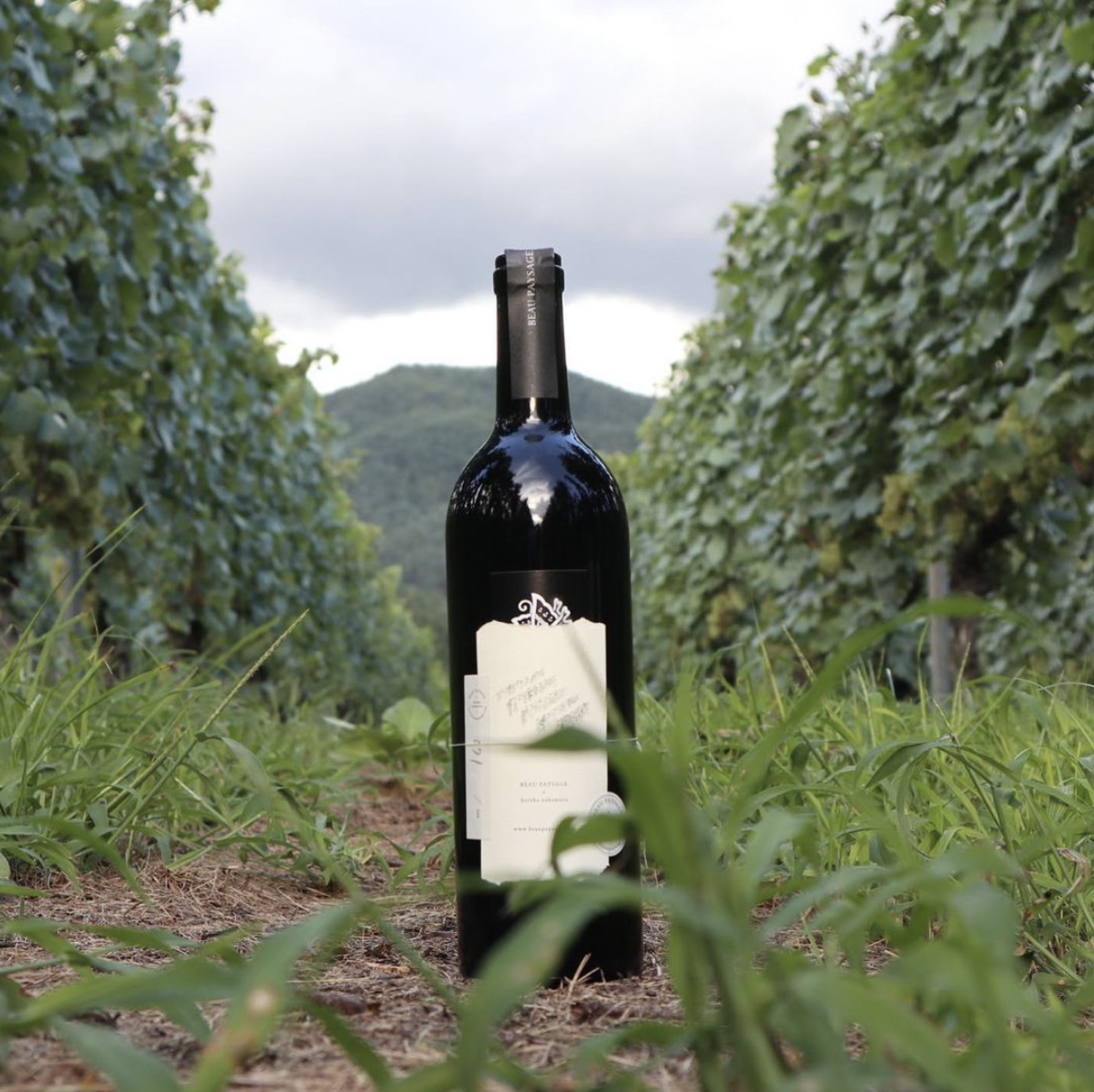 希少 BEAU PAYSAGE 2020年マグナム含5本セット ボーペイサージュ