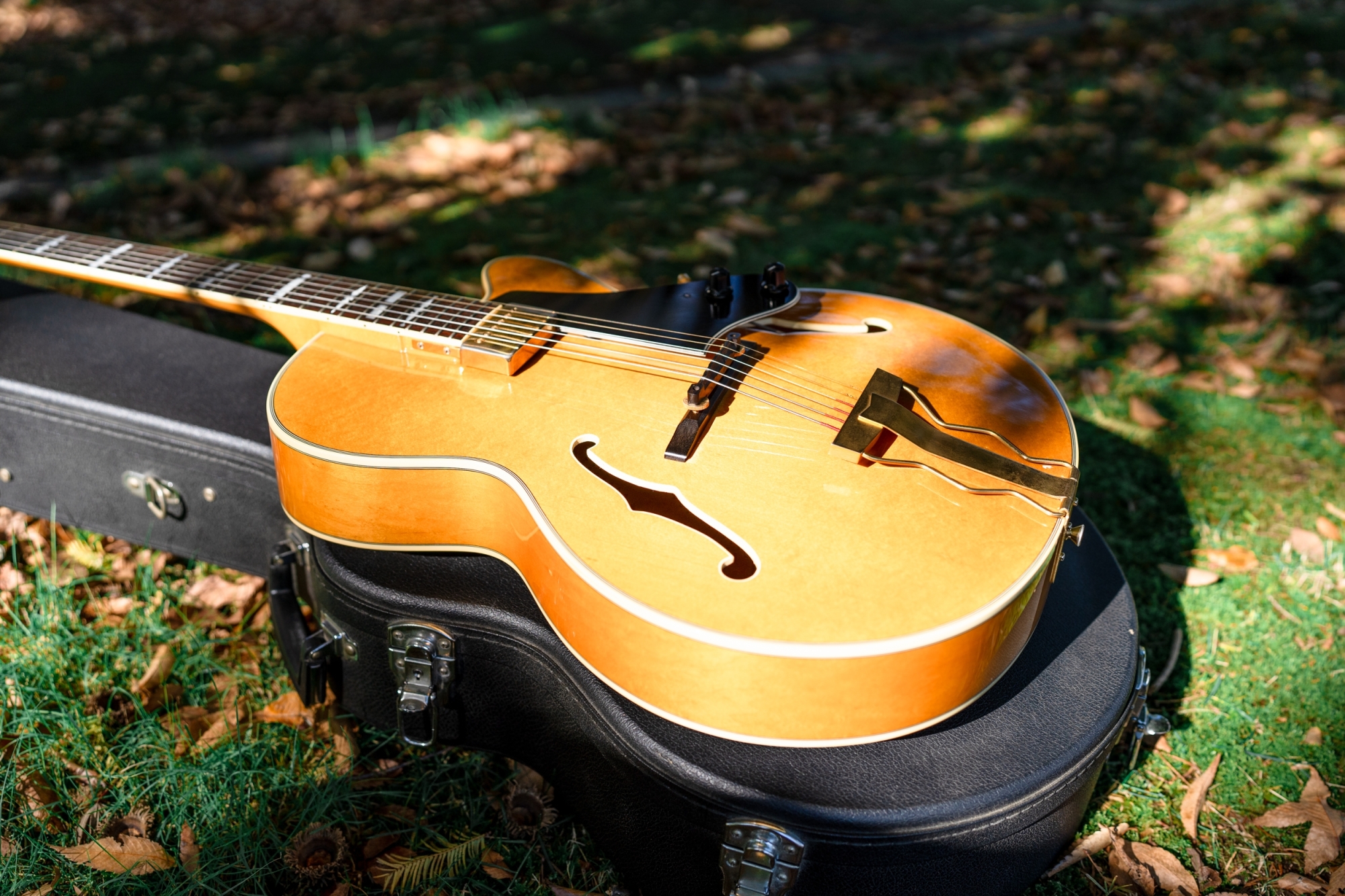 フルアコ 日本製 海外輸出モデル Epiphone NVJ-NT フルアコ 日本製