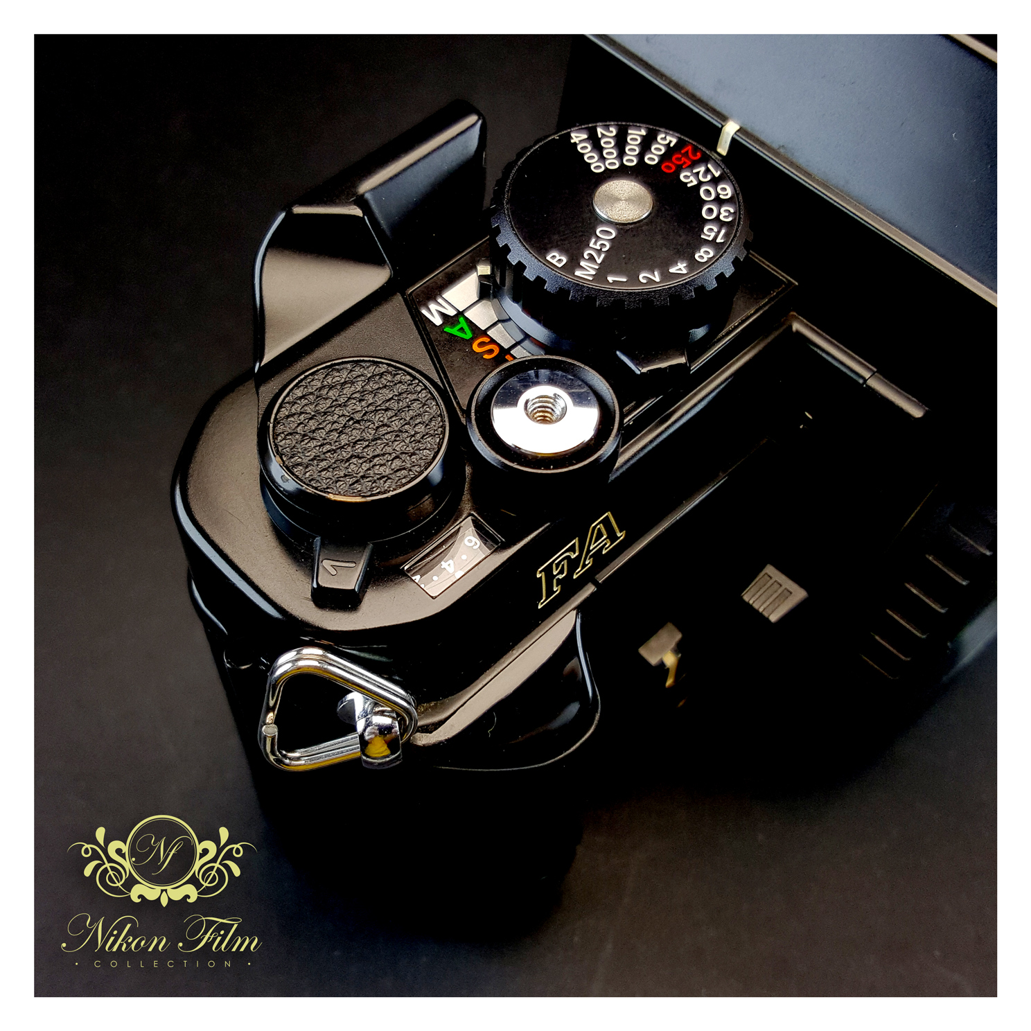 Nikon FA + MF-16 Data Back - Black - NIKON-FILM