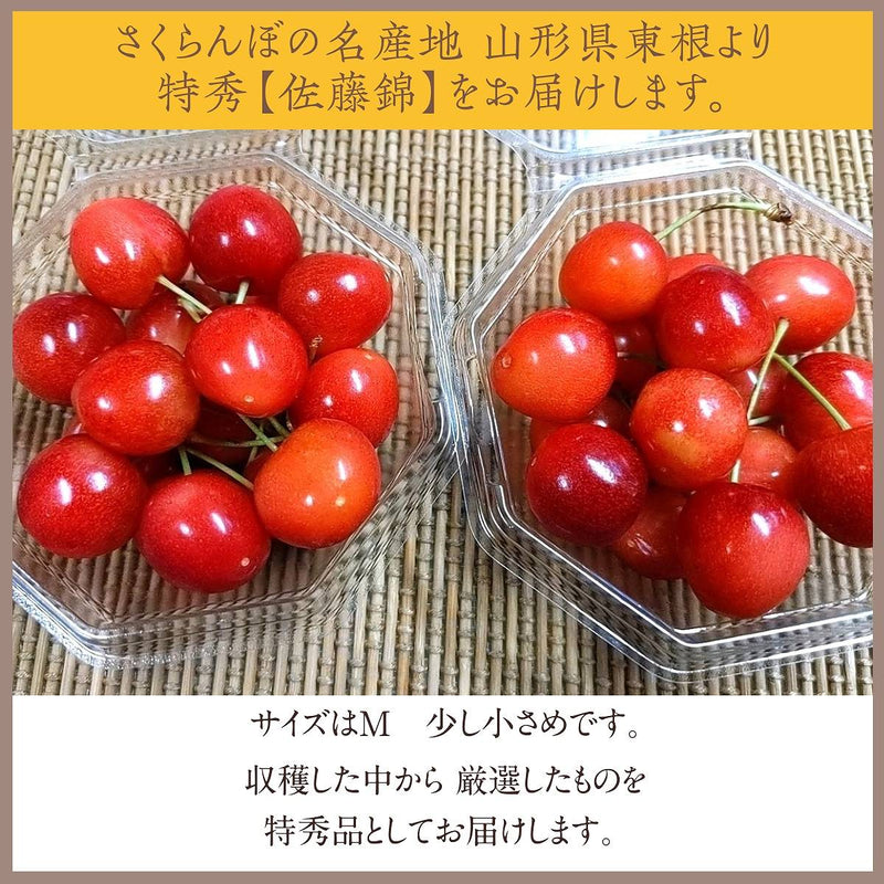 さくらんぼ 【一愛農園】 佐藤錦 ダイヤパック100g×2 200g 特秀 M 母