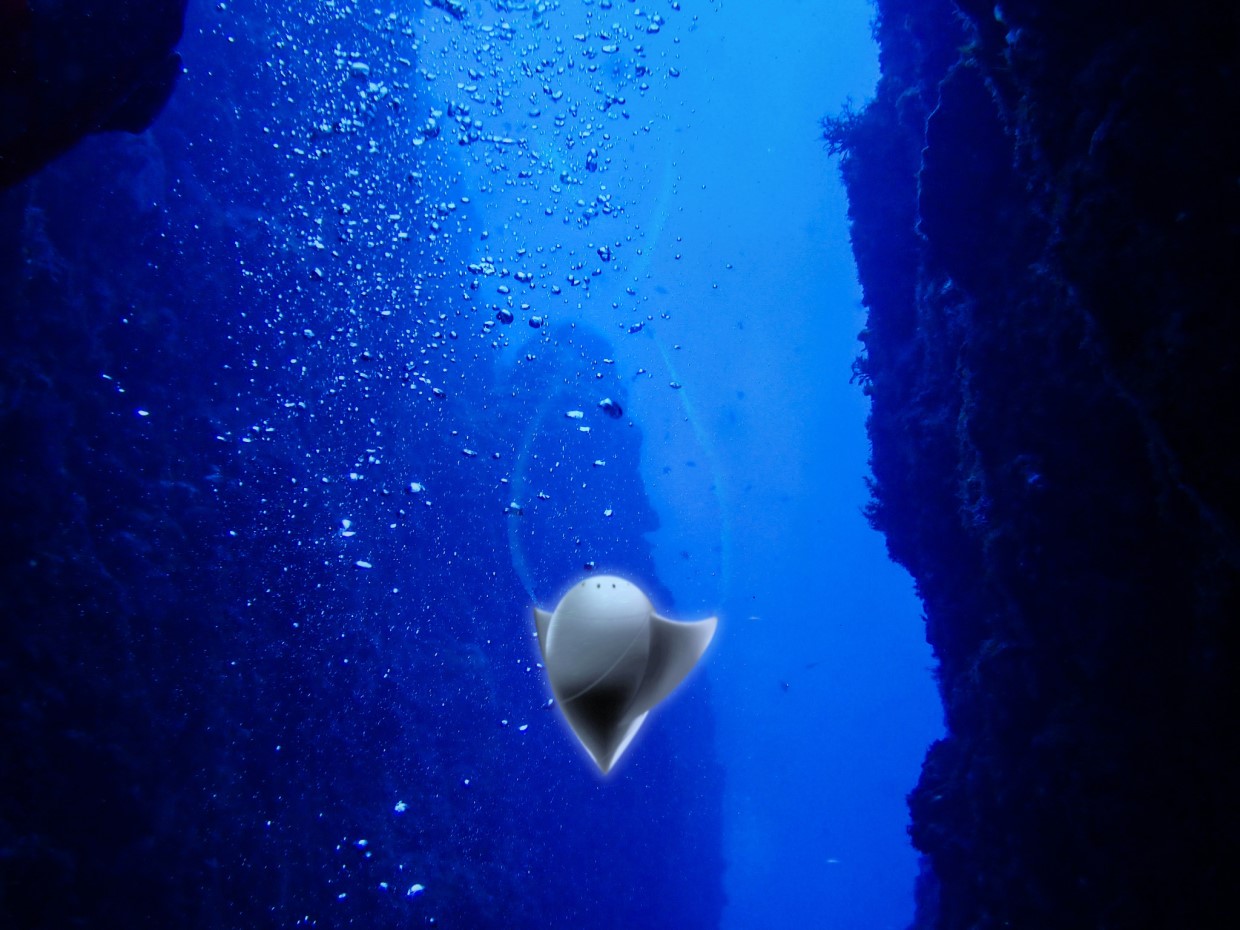 神秘的な深海で静かに眠る | Nileport