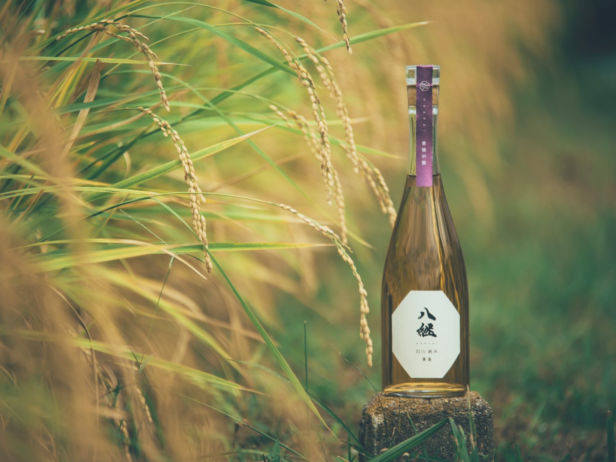 刻が醸す、格別な世界観 | Nileport