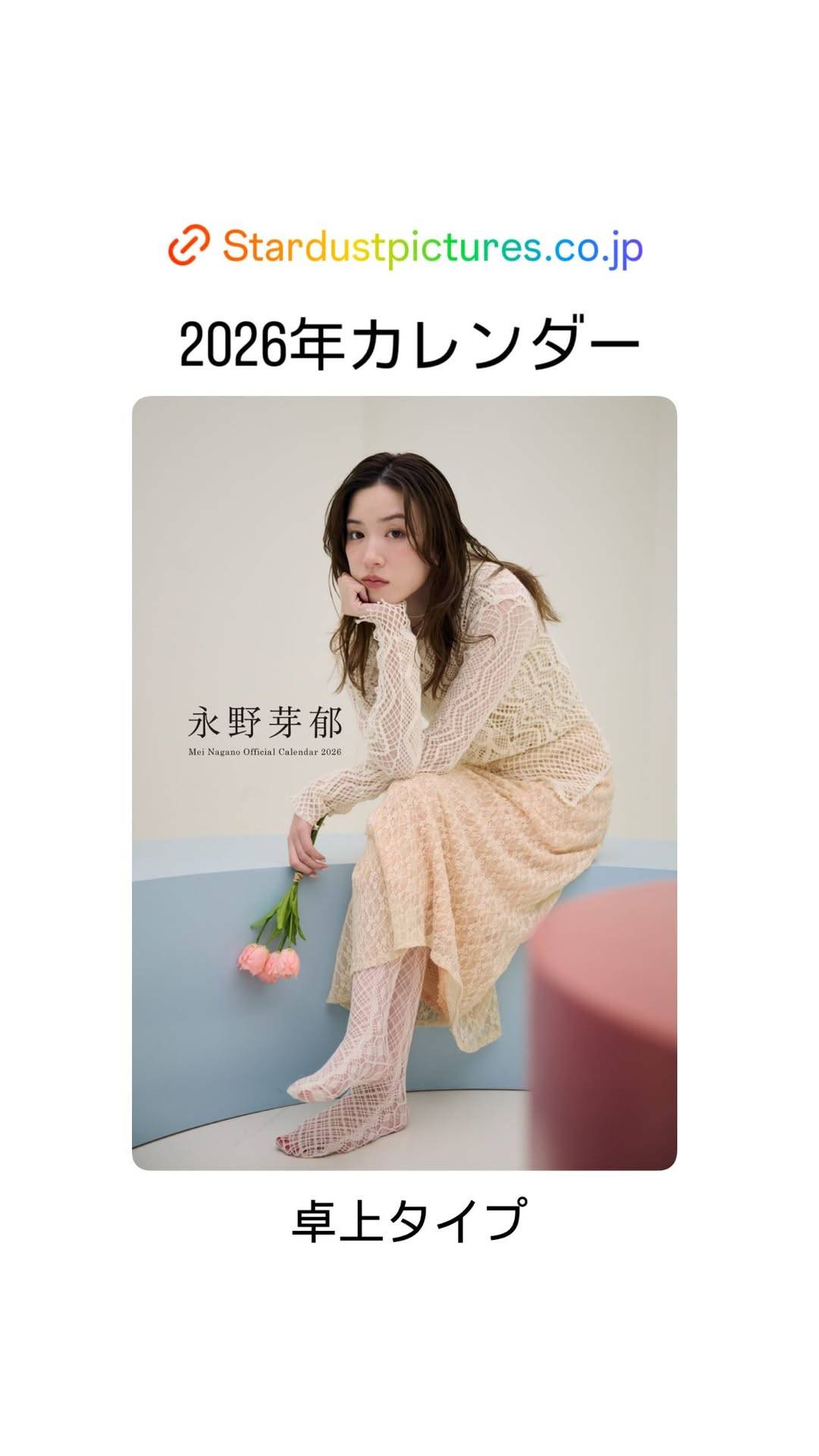 永野芽郁 カレンダー 2016 永野芽郁オフィシャルカレンダー2026