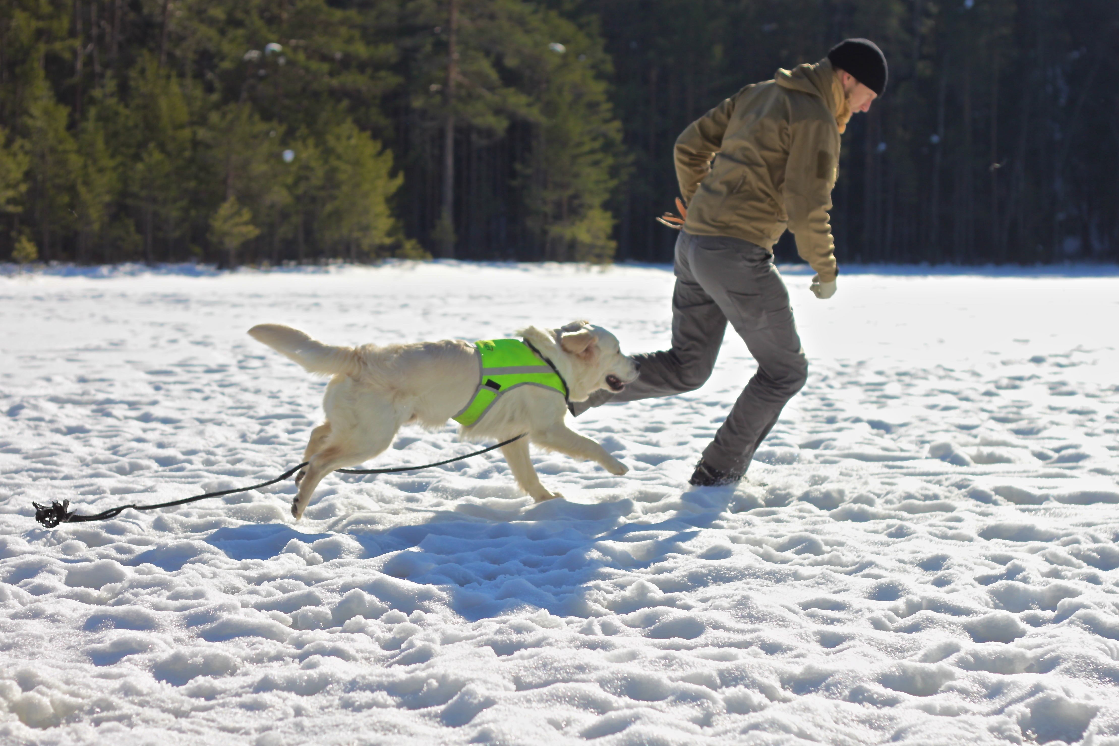 TAD – Rhino-Hide Stealth Hoodie – Noble & Blue