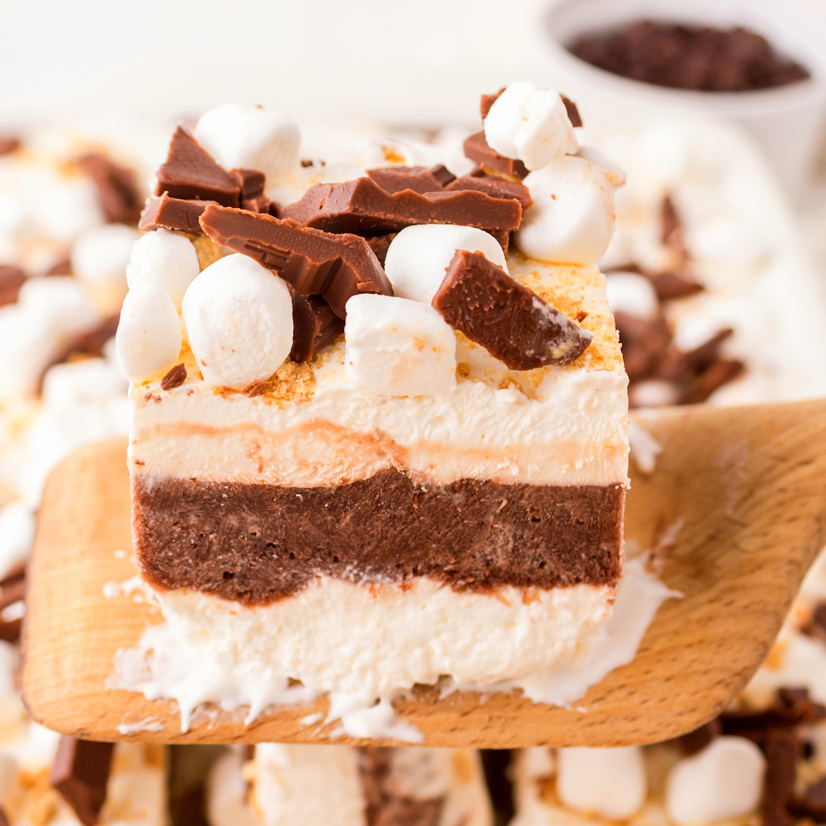 Frozen S'mores Lasagna (No-Bake Layered Dessert Recipe)