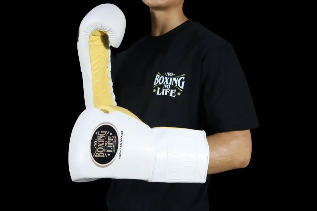 Boxing Gloves 16 oz – No Boxing No Life | No Boxing No Life