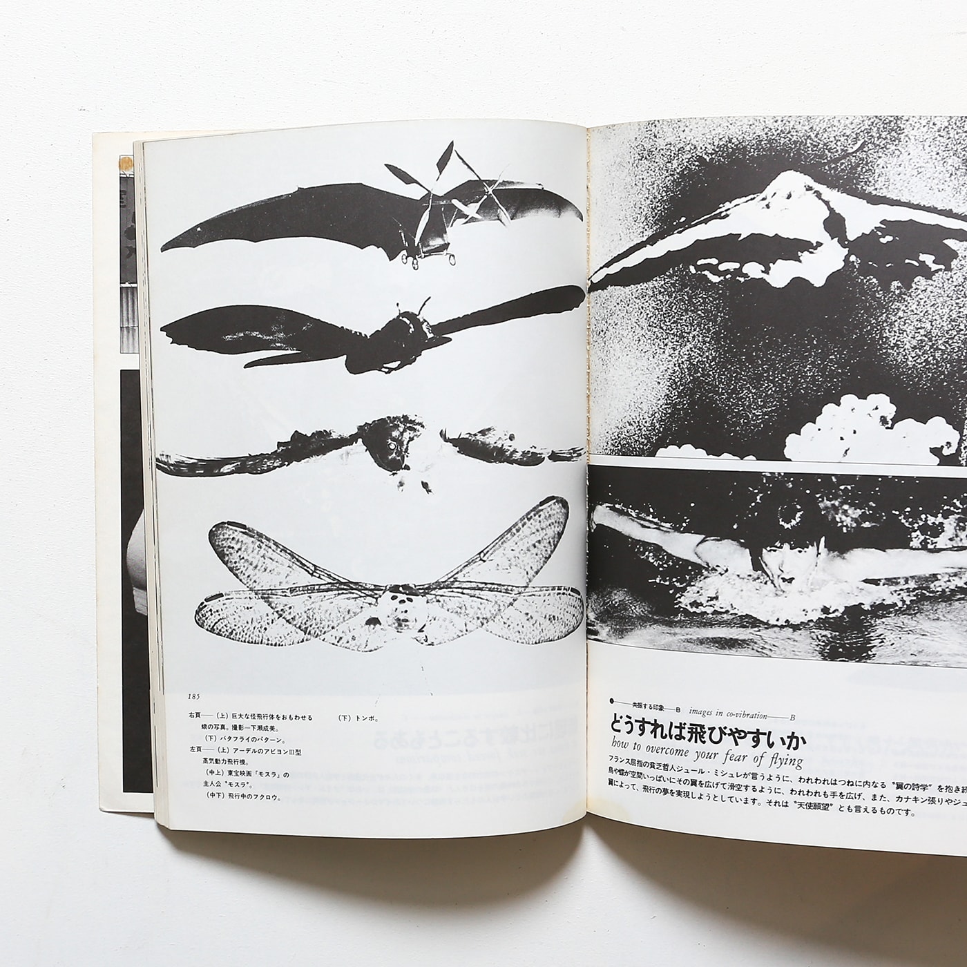 遊」1978年 第1001号 松岡正剛 工作舎 杉浦康平 遊」1978年 第1001号