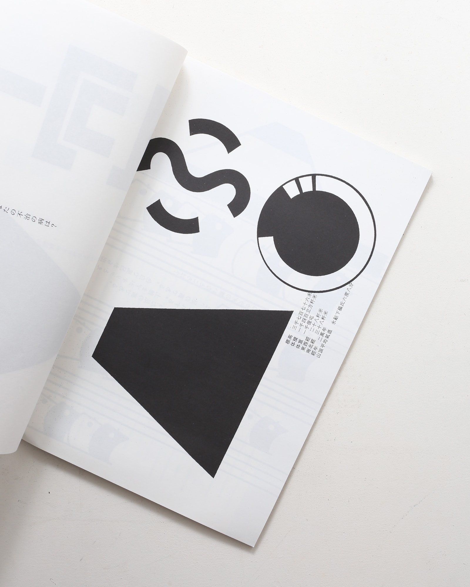 仲條のフジのヤマイ | 仲條正義 | nostos books ノストスブックス