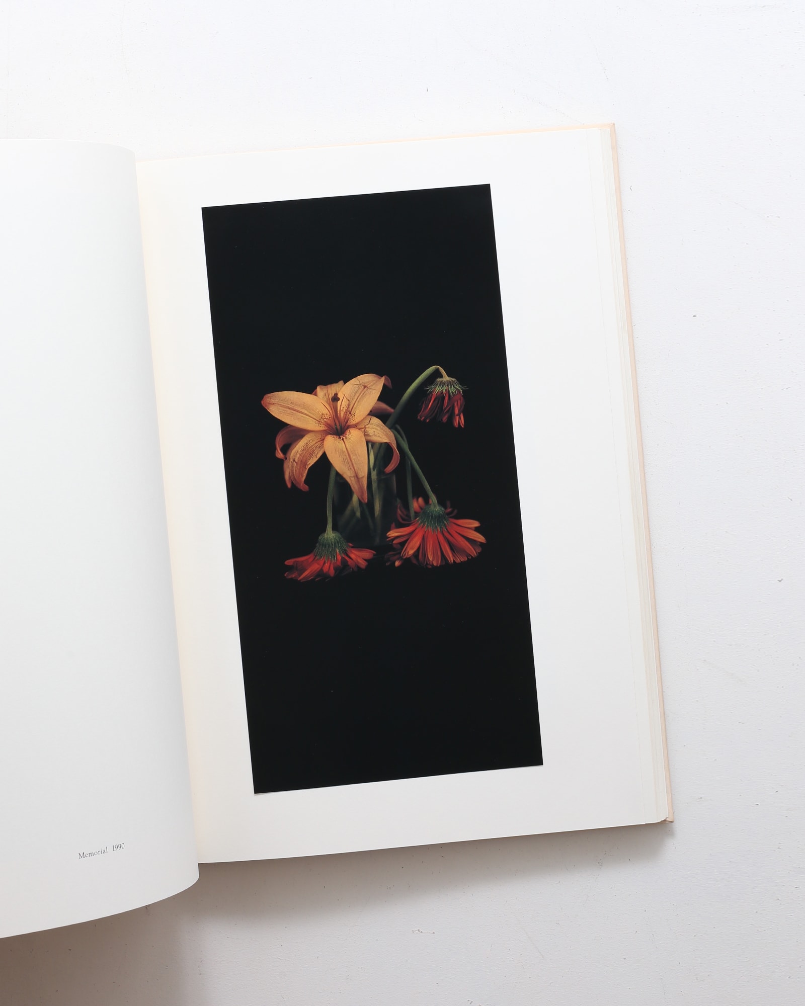 Into The Silent Land | 上田義彦 | nostos books ノストスブックス