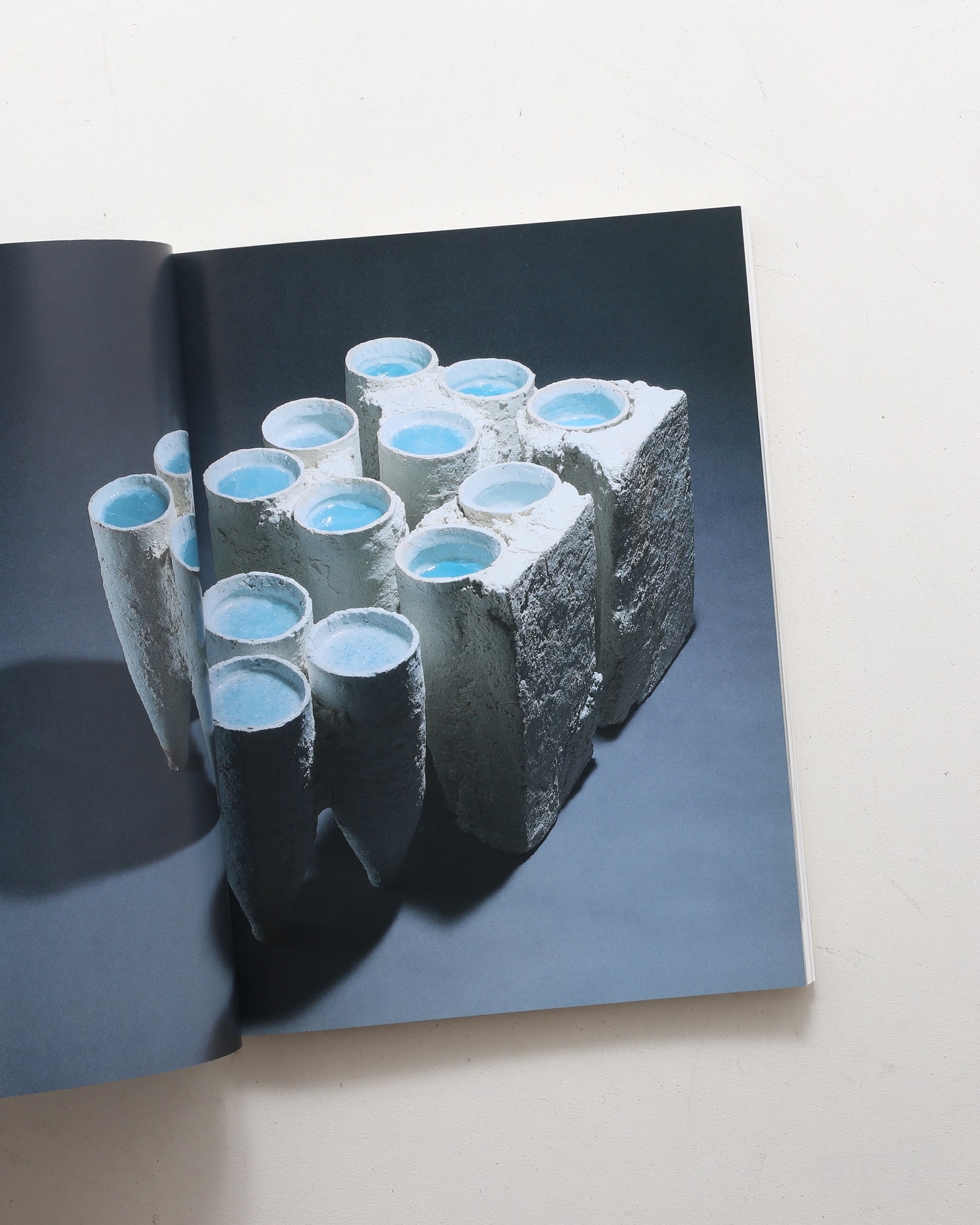 現代陶芸の精鋭 21世紀を開くやきものの手法とかたち | nostos books