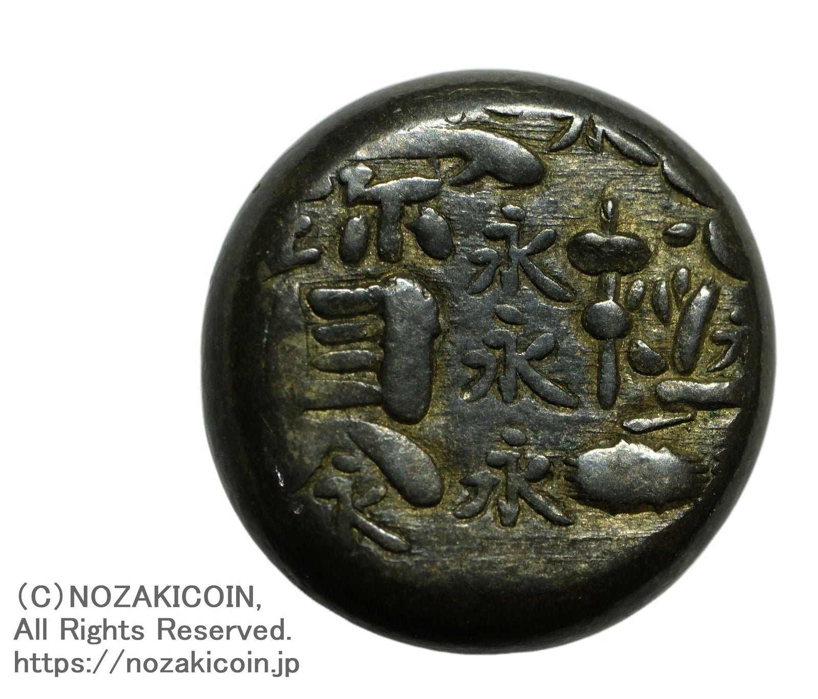 DSCF0964_1_a_1600x.jpg?v=