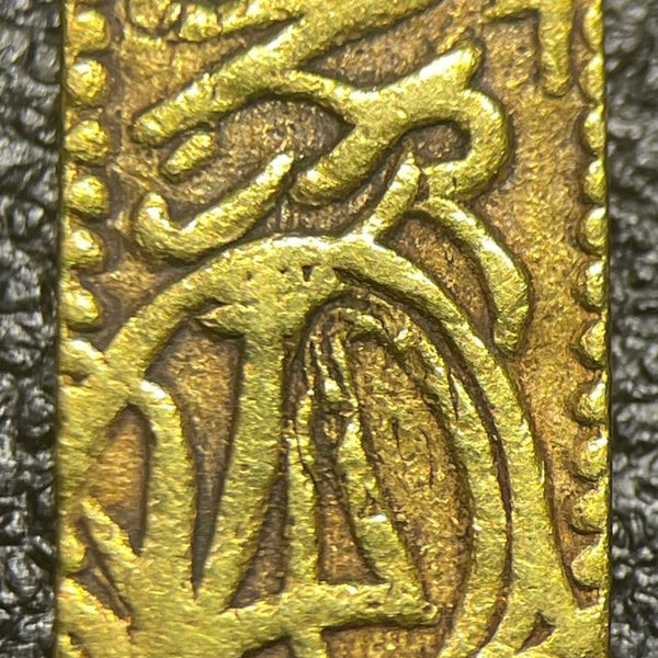 IMG_5388_600x600_crop_center.