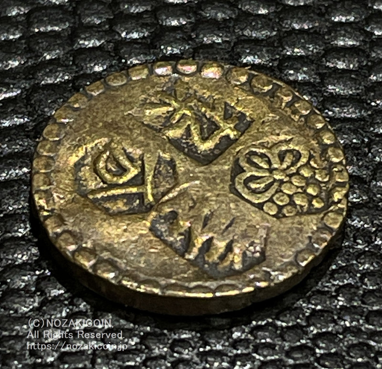 IMG_6603_f3c30680-11a6-42ae-