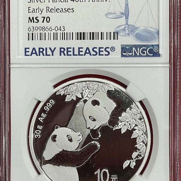 中国 パンダ銀貨 10元 2017年 NGC MS70 カンフーパンダ3 中国 パンダ
