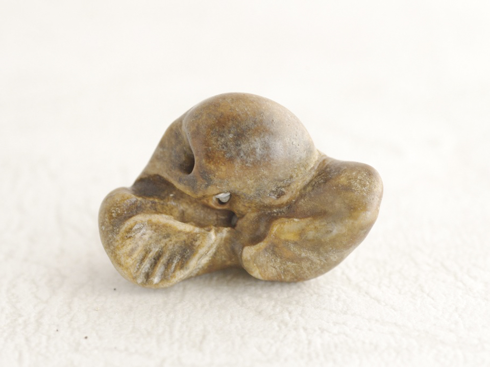 イルカの耳骨 G6-03 – NPO法人なの花会