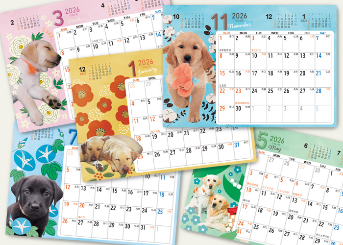 人気の卓上カレンダーが大幅リニューアル！ 2025年も盲導犬応援