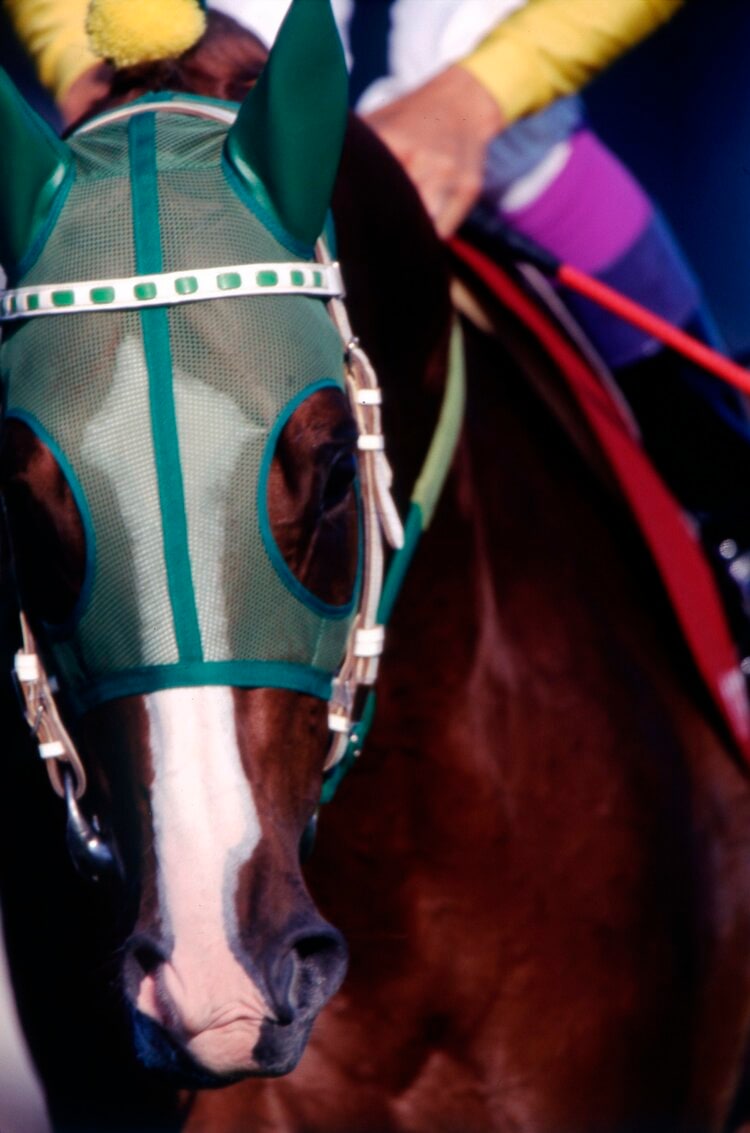 他場的中】単勝馬券 1998年 毎日王冠 サイレンススズカ 最後の勝利