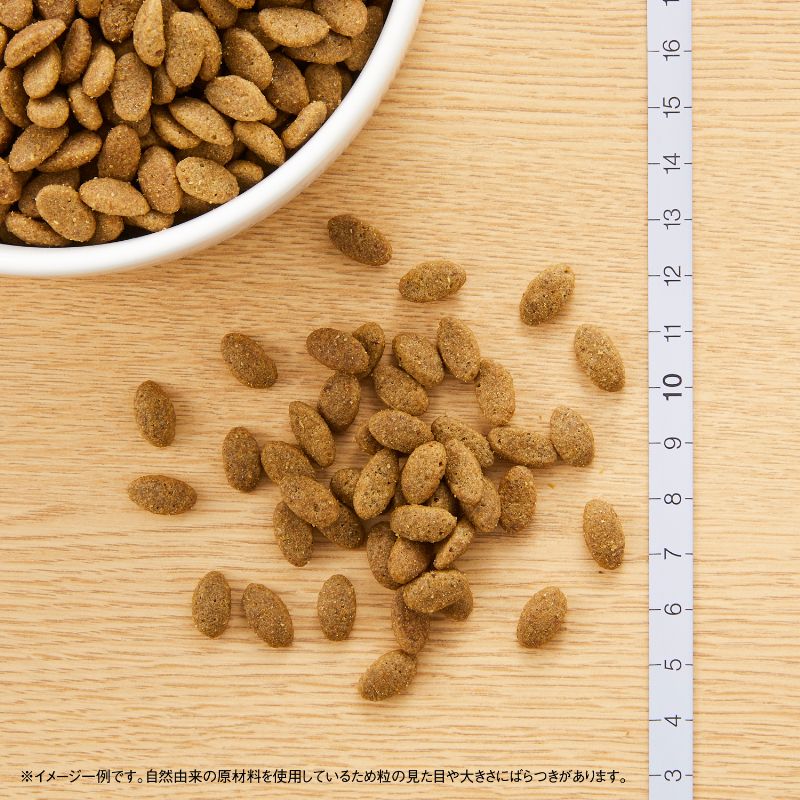 ニュートロ ナチュラル チョイス キャット 毛玉トータルケア アダルト