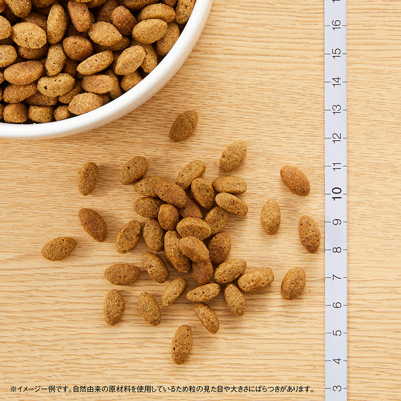 ニュートロ シュプレモ 超小型犬～小型犬用 エイジングケア