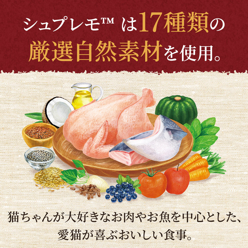 ニュートロ シュプレモ 子猫用 チキン＆サーモン