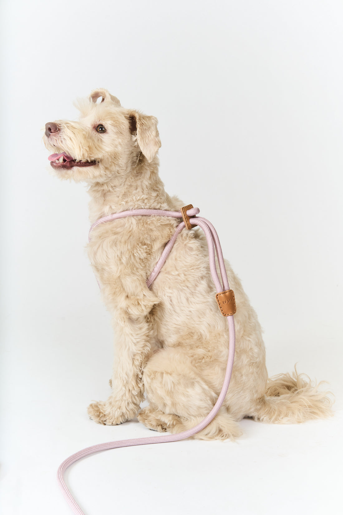 boo'oh 犬用 ハーネス Ray Harness デコピン 大谷 Boo Oh】RAY HARNESS