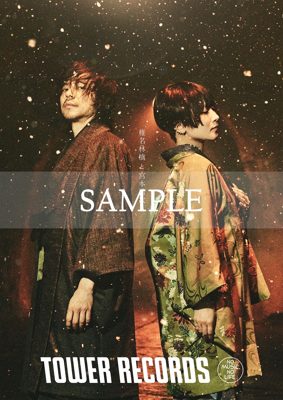 激レア】椎名林檎新宿ハタチ 20周年記念B1ポスタータワーレコード