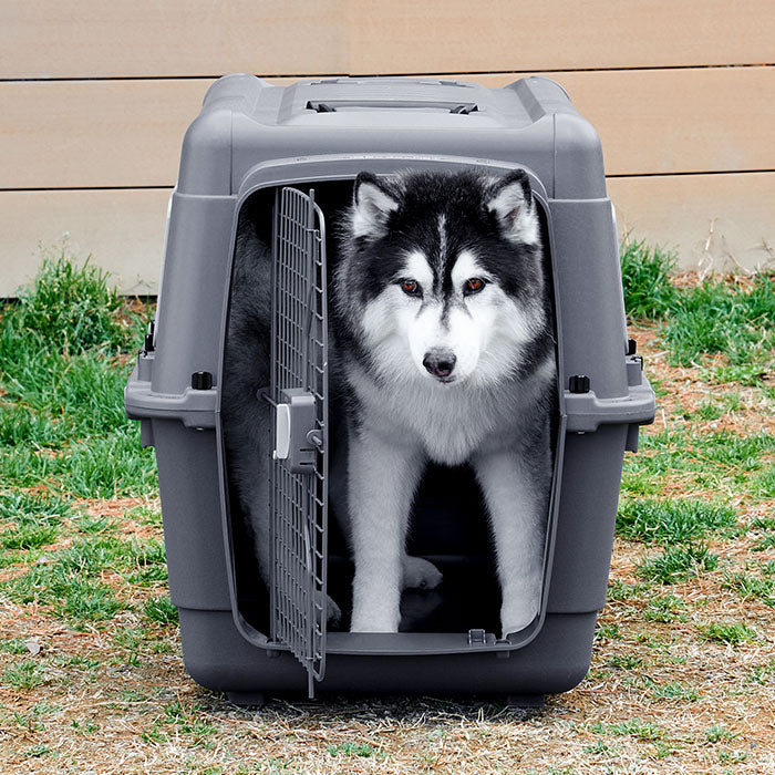 航空基準IATAクリア 旅行や病院へのペットハードキャリー ペット