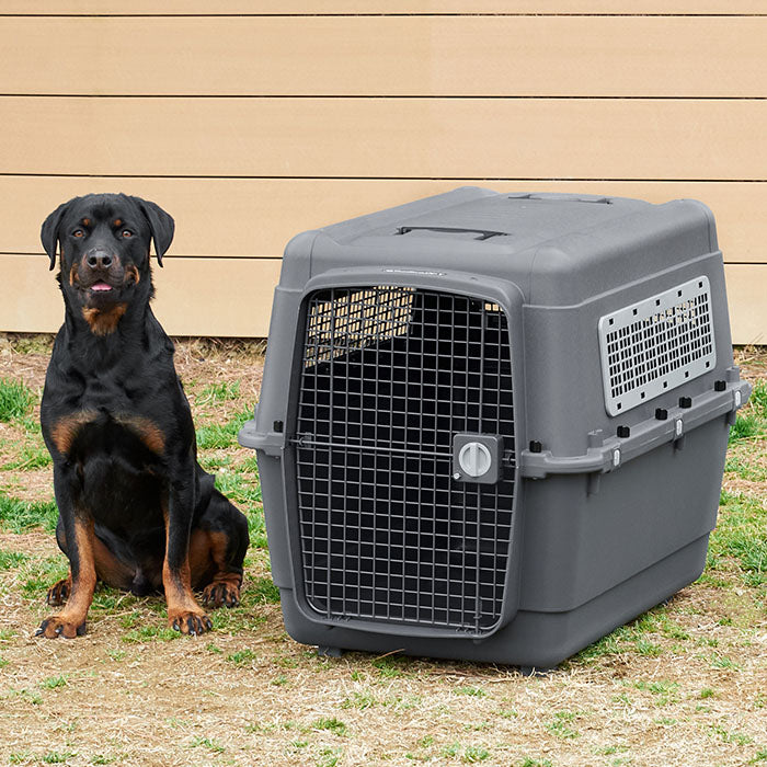 航空基準IATAクリア 旅行や病院へのペットハードキャリー ペット