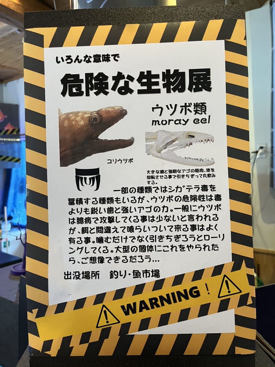 GWにおすすめ！光が丘の小さな水族館「RyuLabo.」の危険な生物展へ行っ