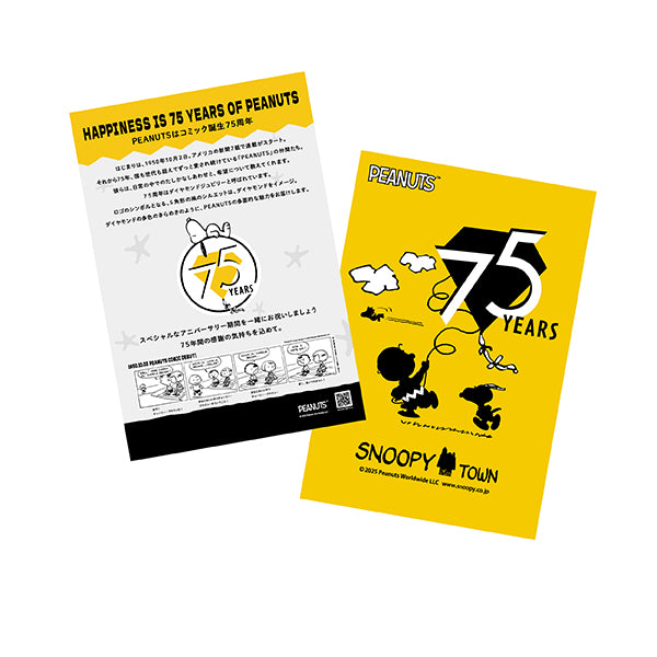 様 スヌーピータウン バースデイ記念フレーム ピンバッジセット限定500