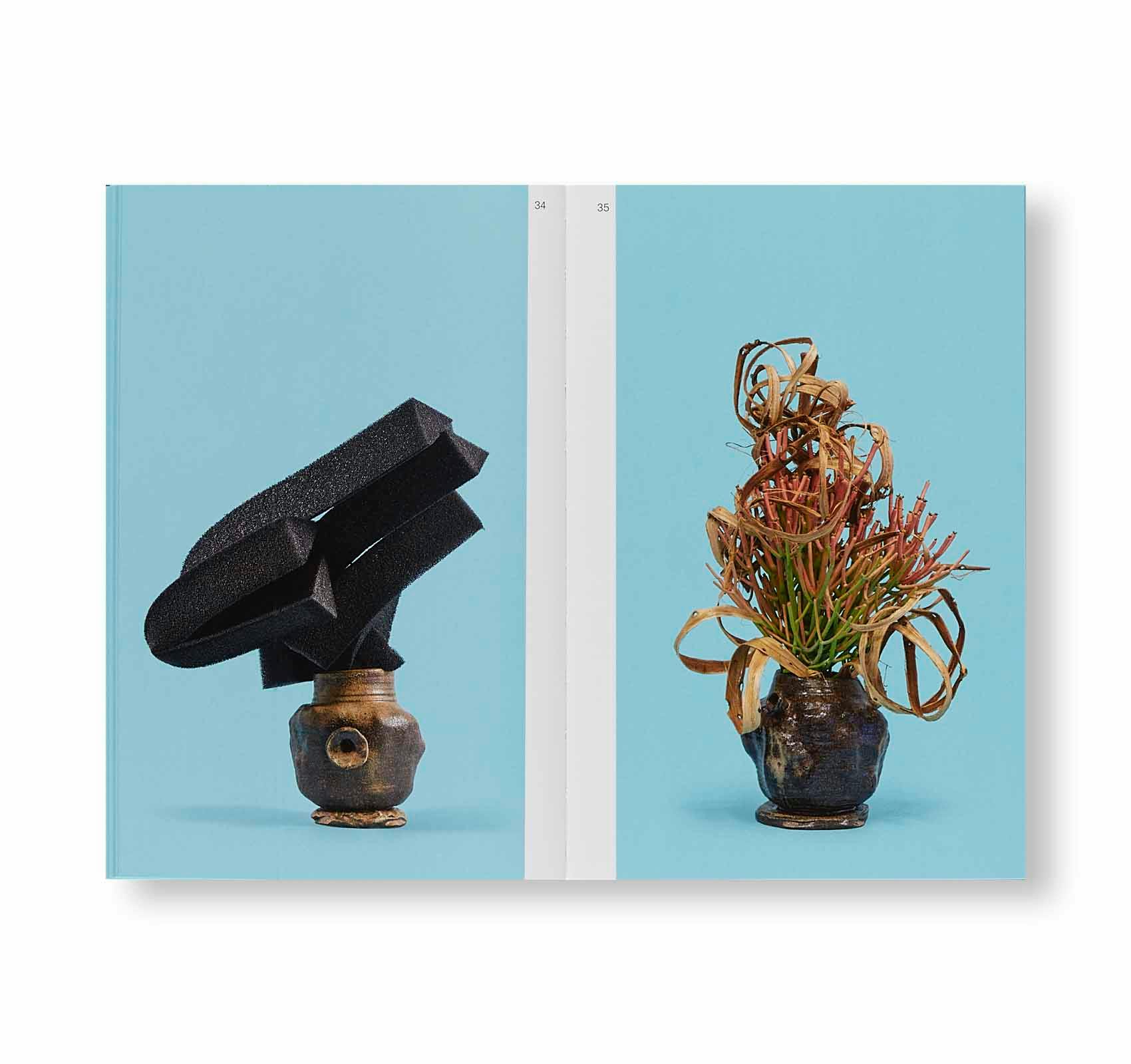 陶芸家アダム・シルヴァーマンフラワーベース